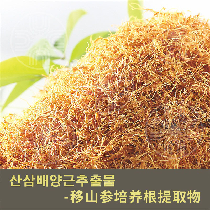 移山參培養(yǎng)根提取物