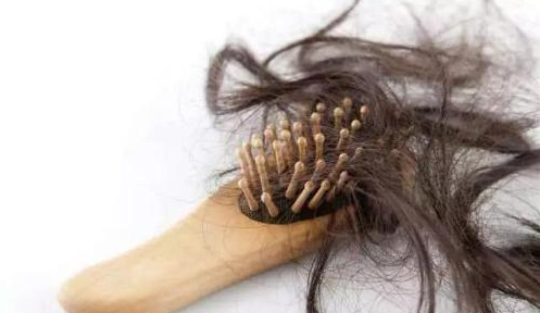 告別夏日頭發(fā)油膩感，儷真8大養(yǎng)護攻略讓毛發(fā)蓬松自然